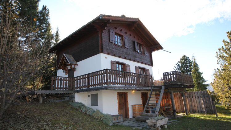 Charming 4 bedroom chalet at the edge of the forest, quiet and sunny