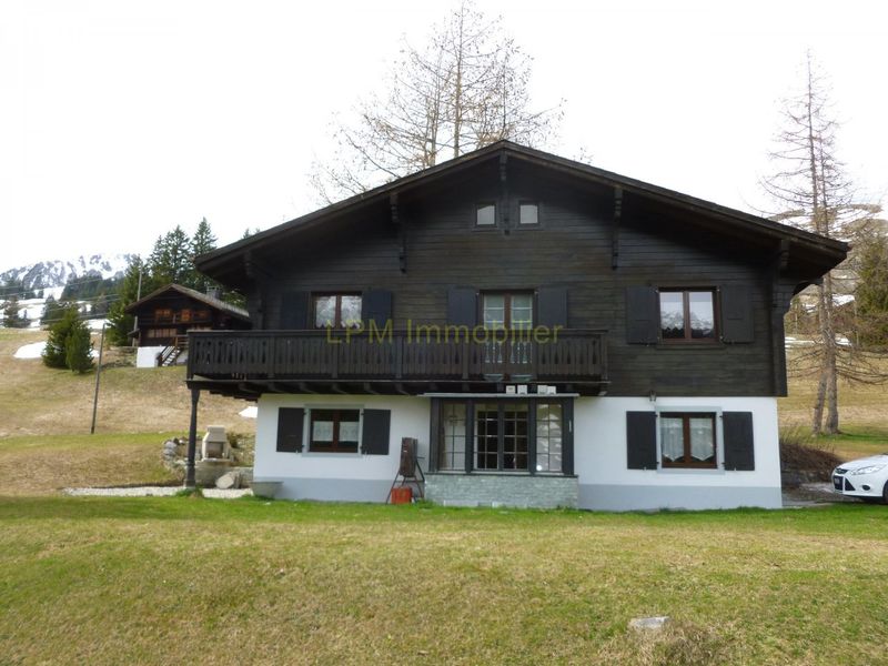 Very Pretty chalet renovated in Les Mosses!