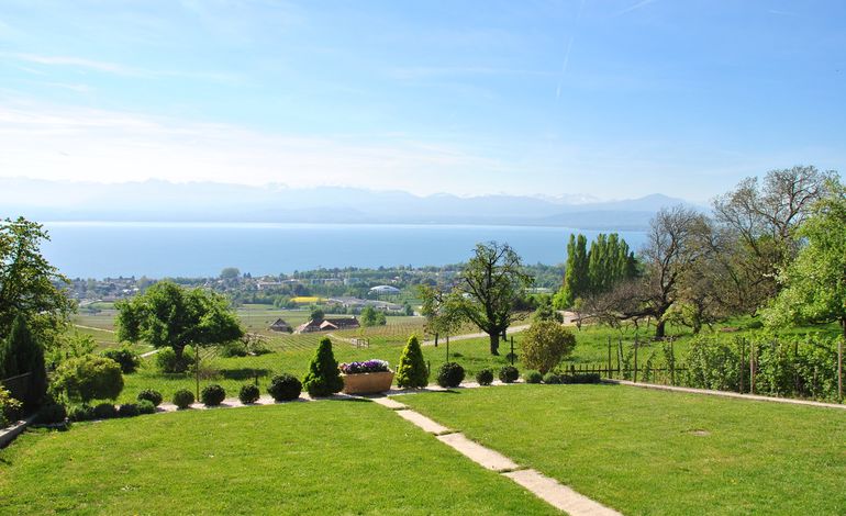 An oasis of peace on Lake Geneva